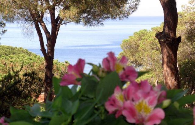 Vacanza Isola d'Elba: Il Maretto Trilo A